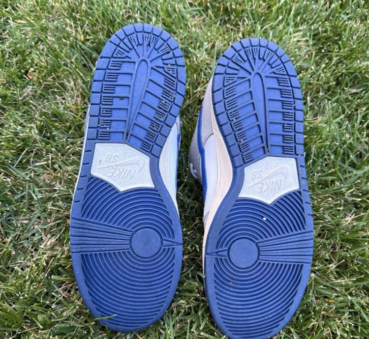 Nike Sb Dunk Low Pro Matte Silver Varsity Royal 2011