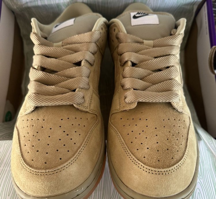 Nike Sb Dunk Low Pro Parachute Beige