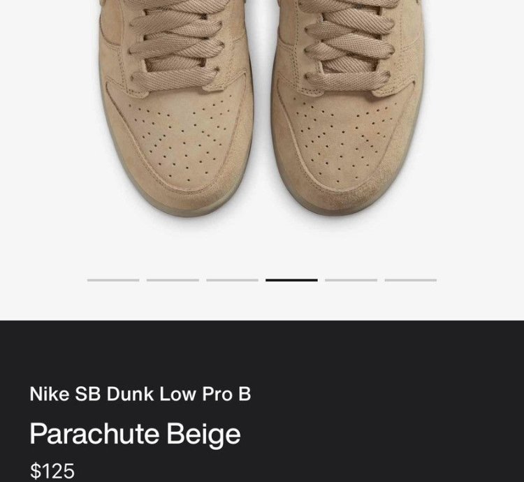 Nike Sb Dunk Low Pro Parachute Beige