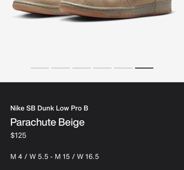 Nike Sb Dunk Low Pro Parachute Beige