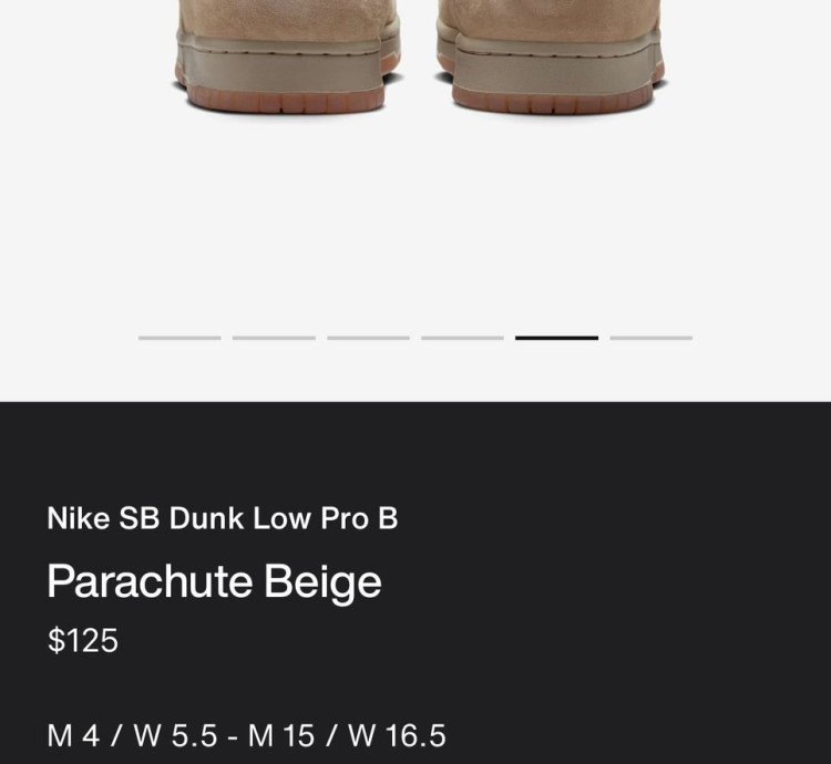 Nike Sb Dunk Low Pro Parachute Beige