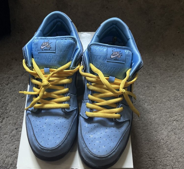 Nike Sb Dunk Low Pro Qs