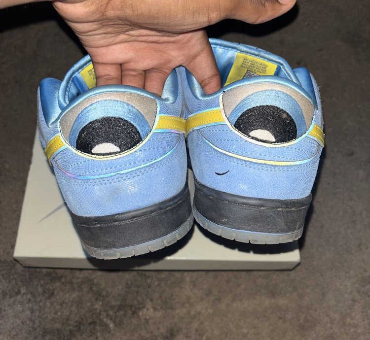 Nike Sb Dunk Low Pro Qs