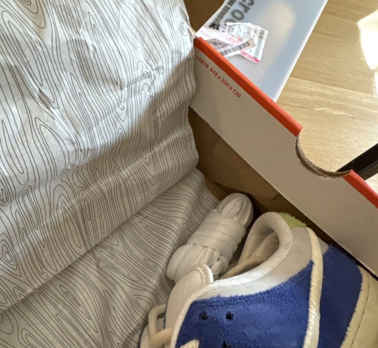 Nike Sb Dunk Low Pro Qs Fly Streetwear Size 13