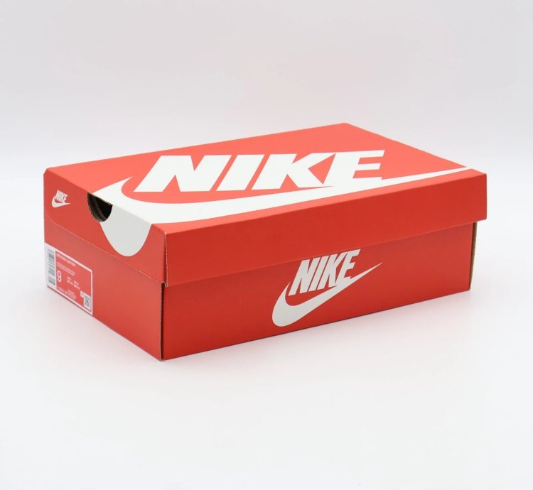 Fj5434-120 Nike Dunk Low Head 2 Head Cojp Natural Black Ale Brown Pecan