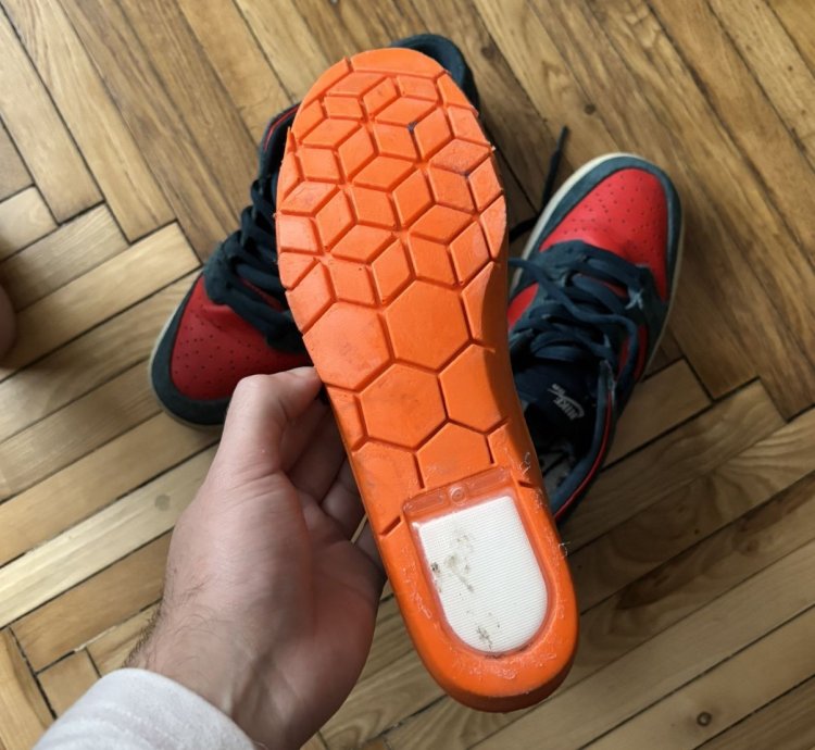Nike Sb Dunk Low Pro Reverse Shark