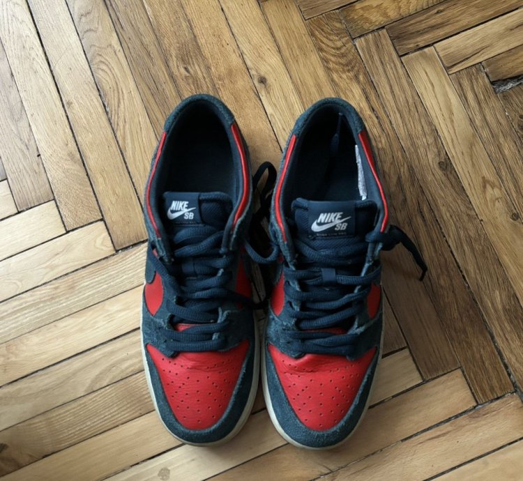 Nike Sb Dunk Low Pro Reverse Shark