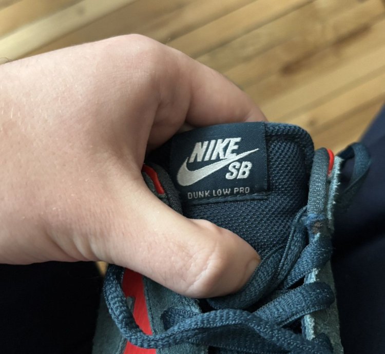 Nike Sb Dunk Low Pro Reverse Shark