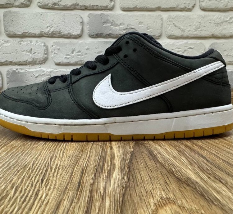 Nike Sb Dunk Low Pro Skateboard