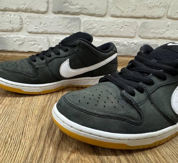 Nike Sb Dunk Low Pro Skateboard