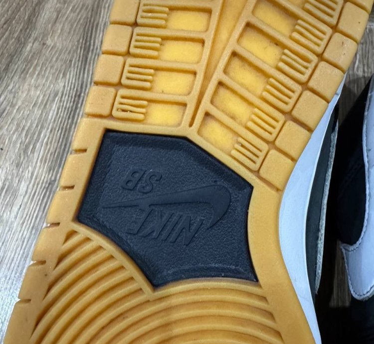 Nike Sb Dunk Low Pro Skateboard