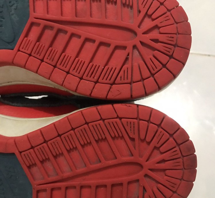 Nike Sb Dunk Low Reverse Shark