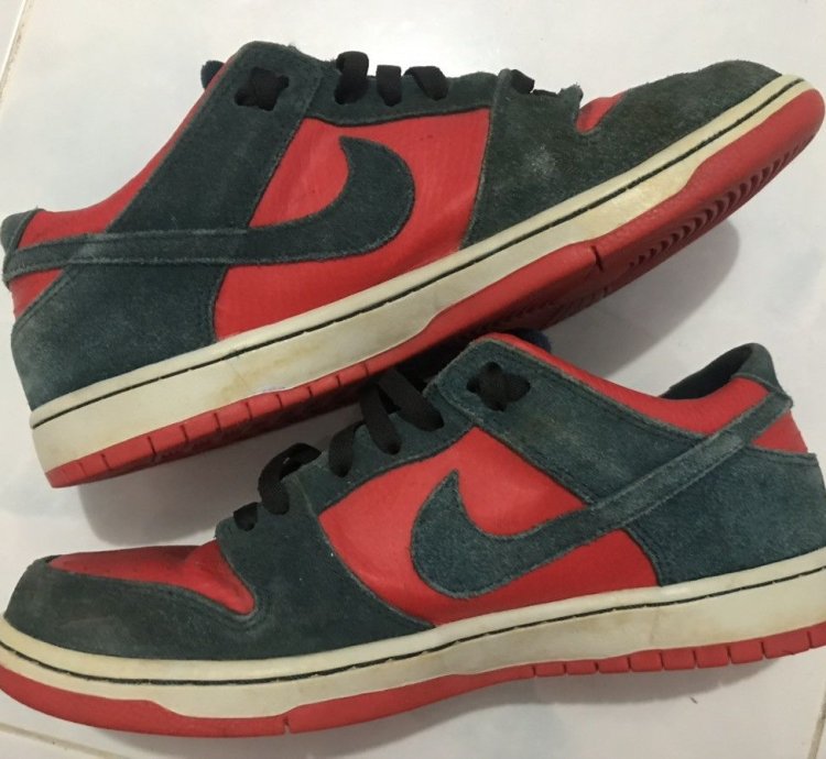Nike Sb Dunk Low Reverse Shark