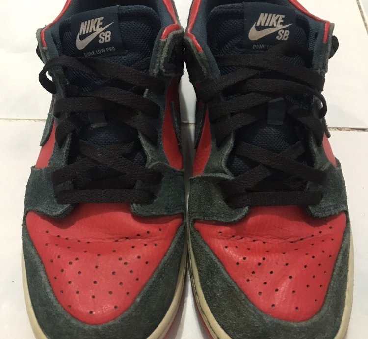 Nike Sb Dunk Low Reverse Shark