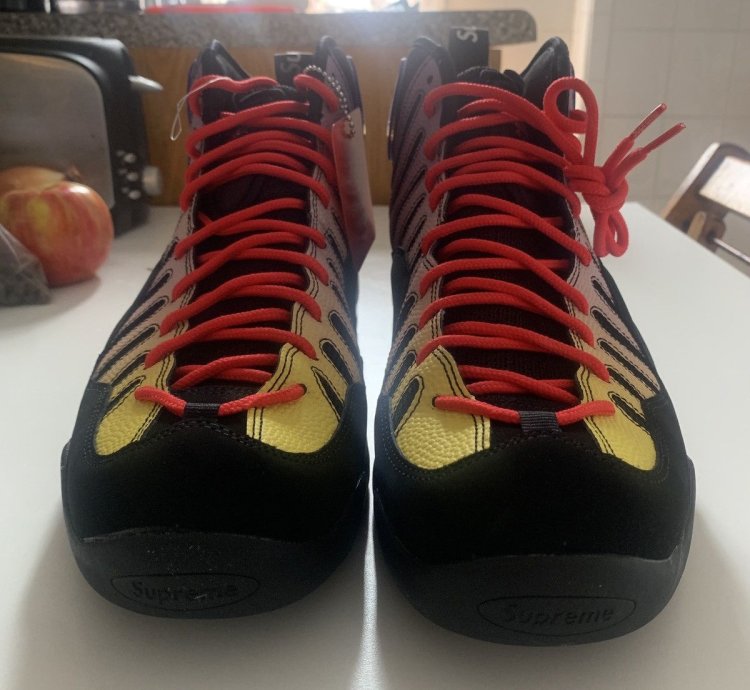 Supreme Nike Air Bakin Sp