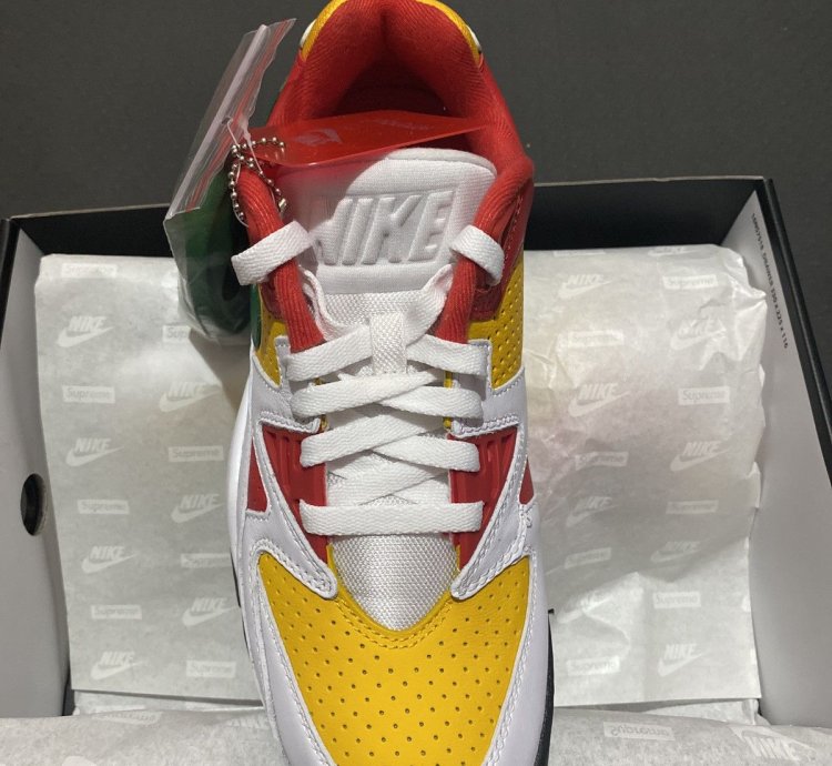 Supreme Nike Air Cross Trainer