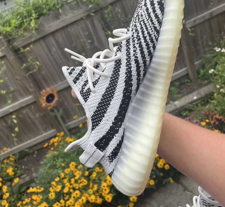 2022 Yeezy 350 Zebras