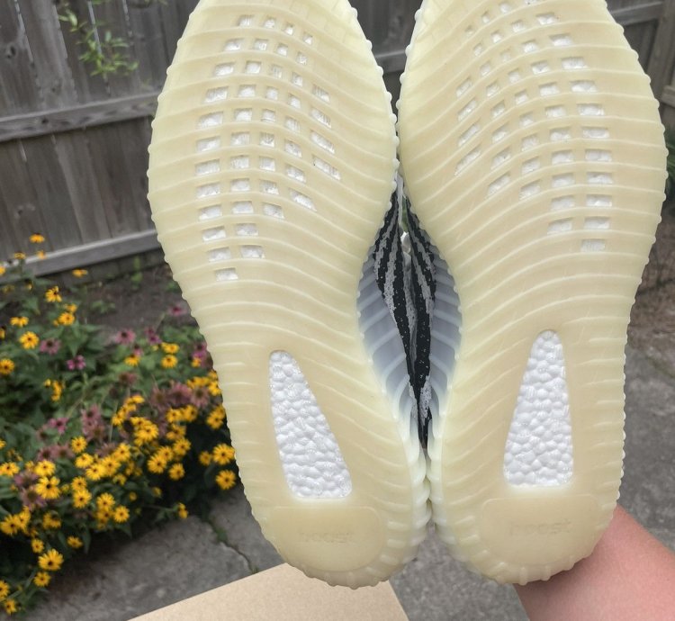 2022 Yeezy 350 Zebras