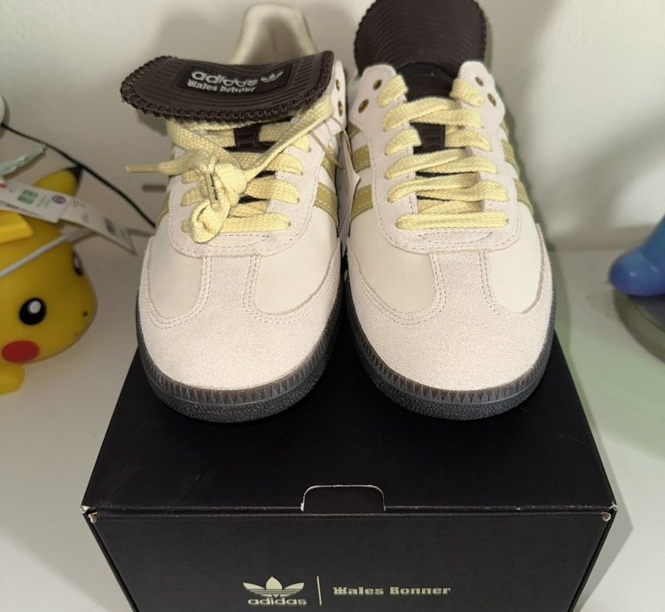 2023 Wales Bonner Adidas Sambas Erctin Brown