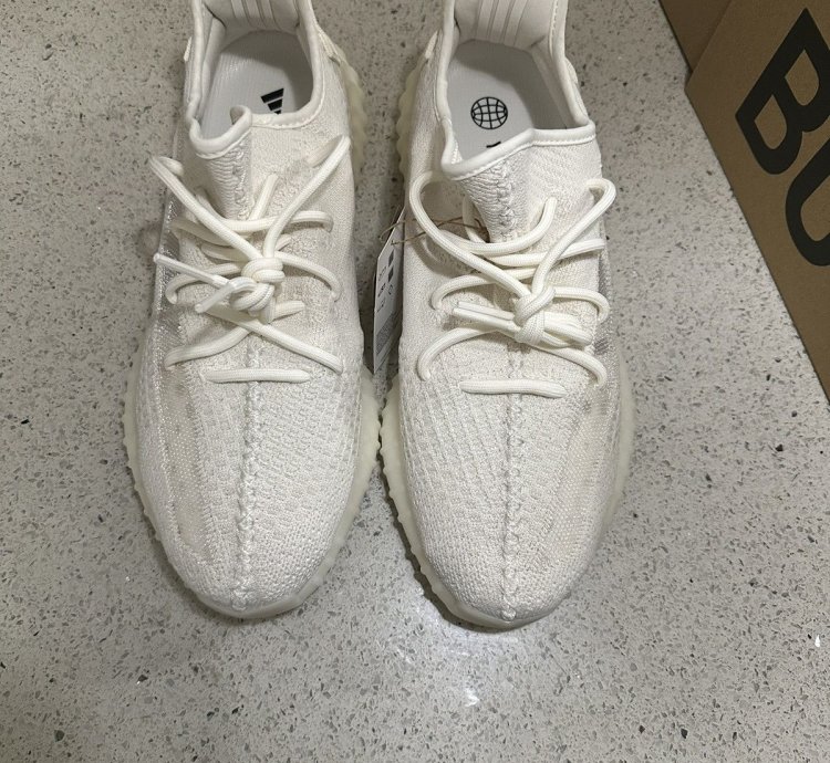 350 V2 Bone