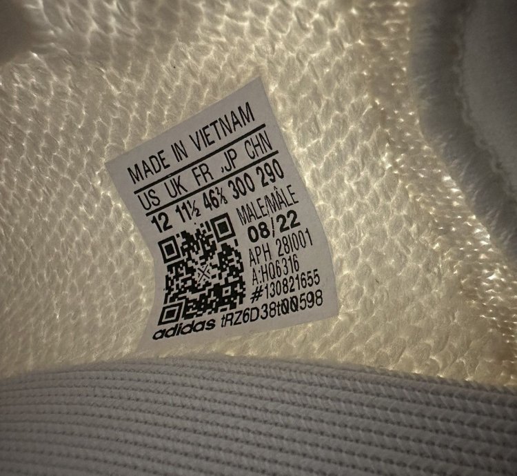 350 V2 Bone