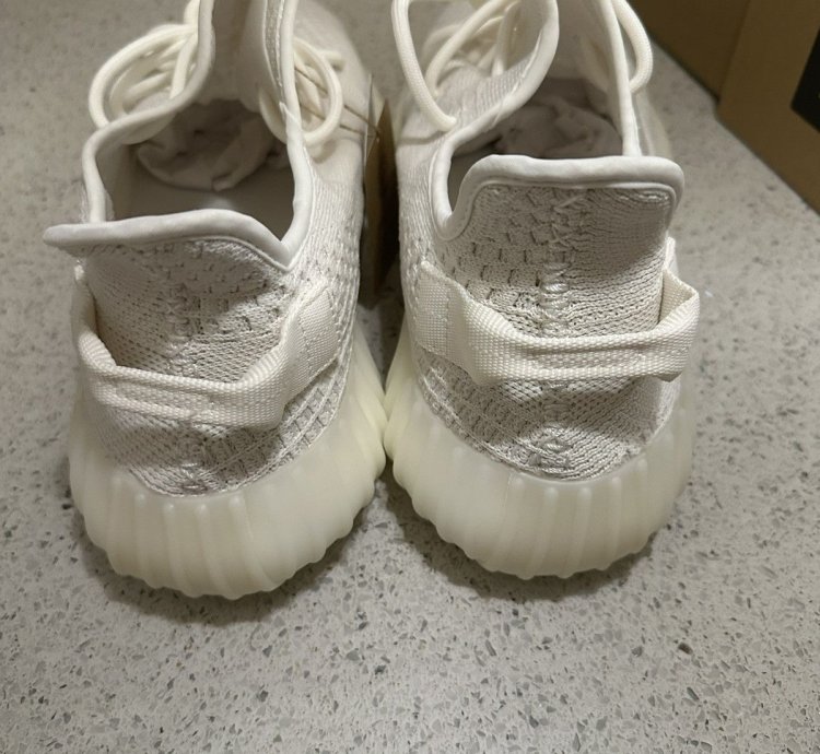 350 V2 Bone