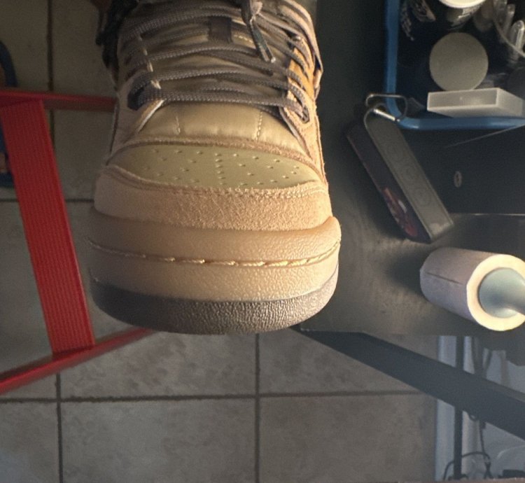 Adidas Bad Bunny Forum The First
