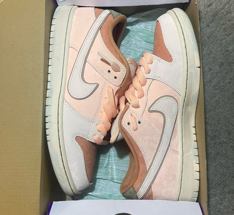 Nike Sb Dunk Low Trocad Ro Gardens