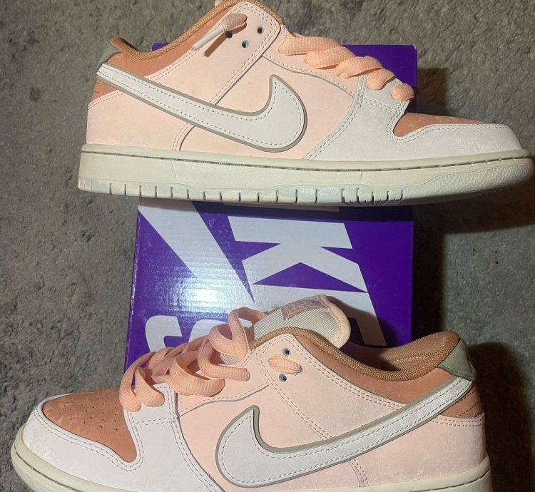 Nike Sb Dunk Low Trocad Ro Gardens