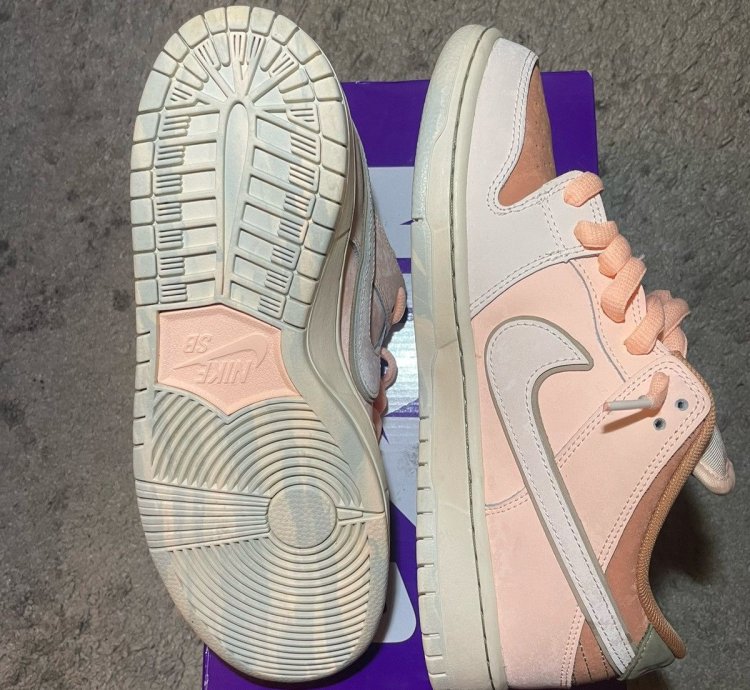Nike Sb Dunk Low Trocad Ro Gardens