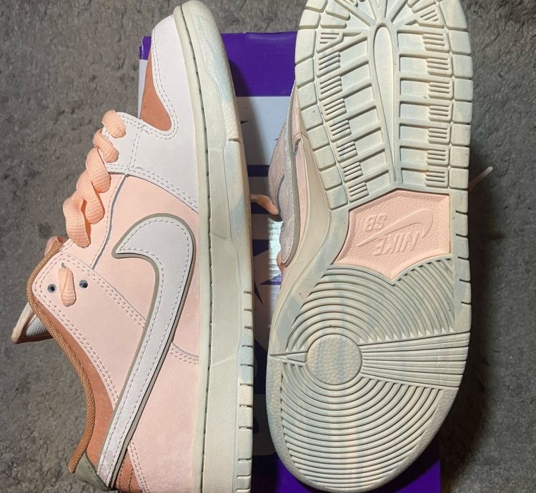 Nike Sb Dunk Low Trocad Ro Gardens
