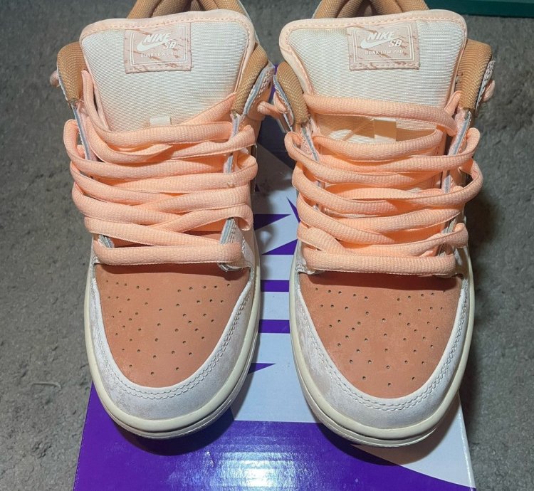 Nike Sb Dunk Low Trocad Ro Gardens