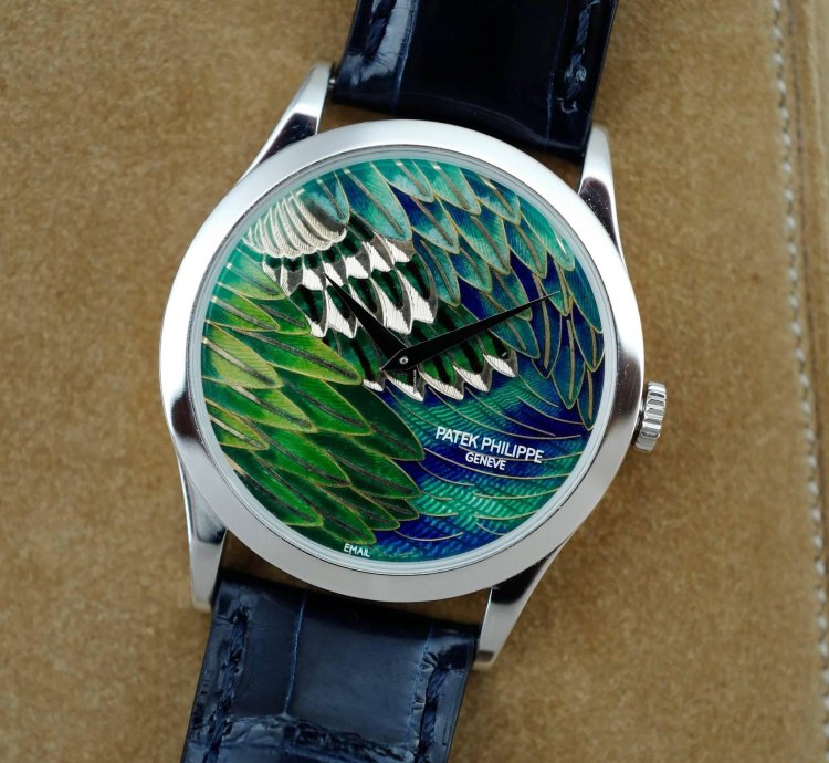 Patek Philippe Calatrava Platinum Handcraft Calatrava Ref 5077p With Peacock Or Pheasant Dial