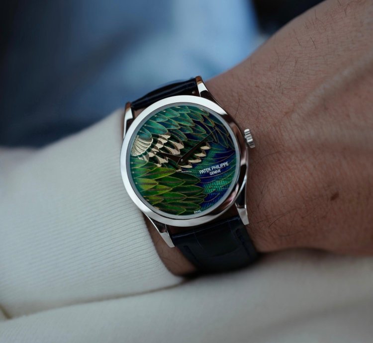 Patek Philippe Calatrava Platinum Handcraft Calatrava Ref 5077p With Peacock Or Pheasant Dial