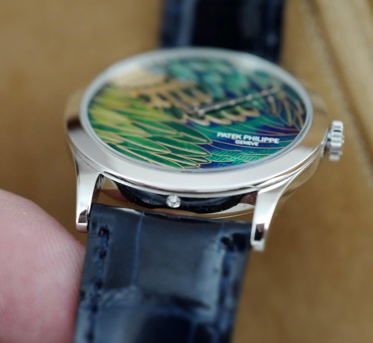 Patek Philippe Calatrava Platinum Handcraft Calatrava Ref 5077p With Peacock Or Pheasant Dial