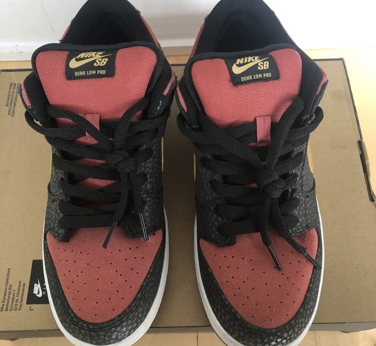 Nike Sb Dunk Low Walk Of Fame Brooklyn Projects