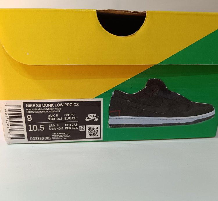 Nike Sb Dunk Low Wasted Youth
