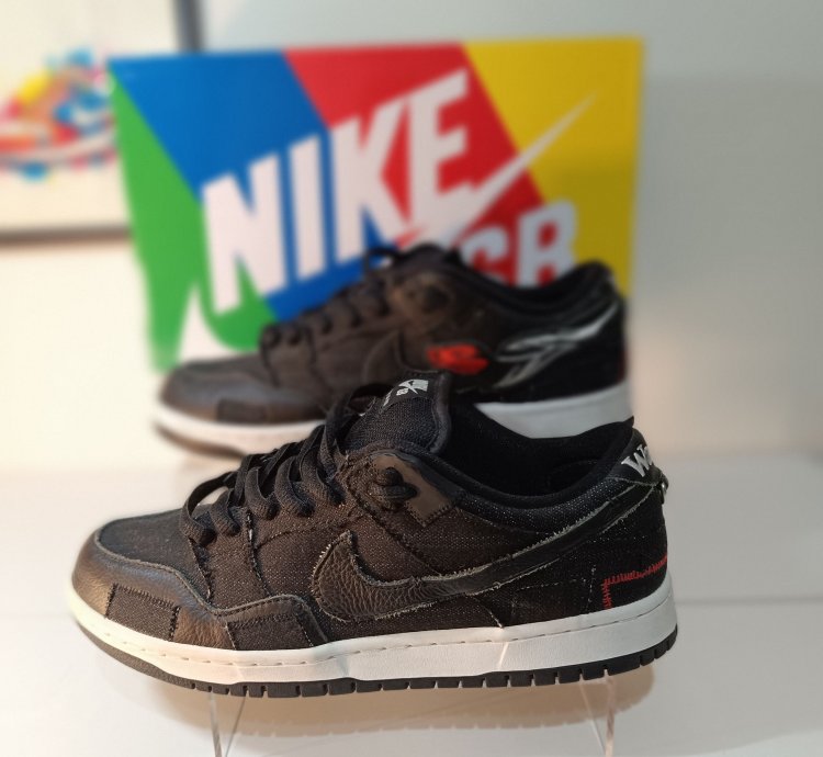 Nike Sb Dunk Low Wasted Youth