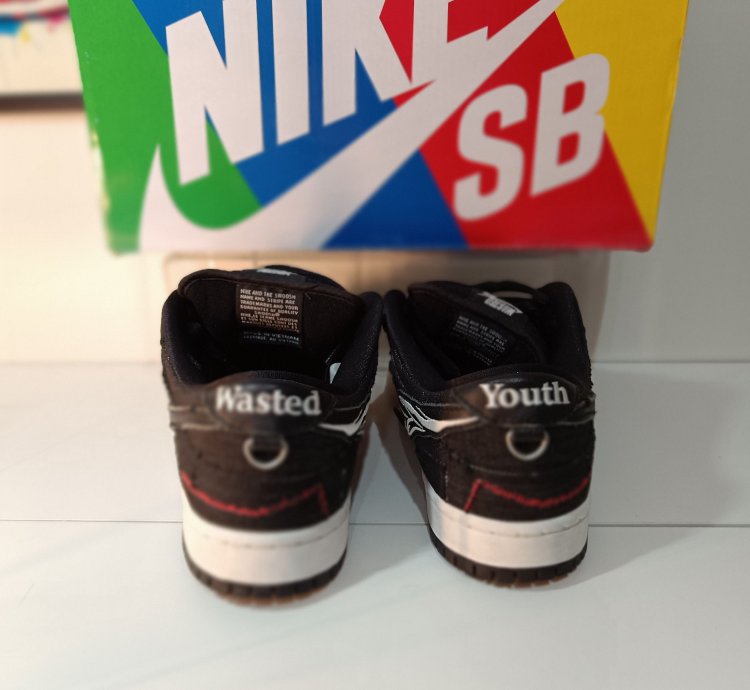 Nike Sb Dunk Low Wasted Youth