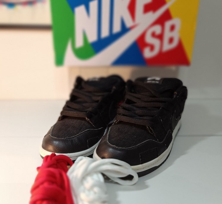 Nike Sb Dunk Low Wasted Youth