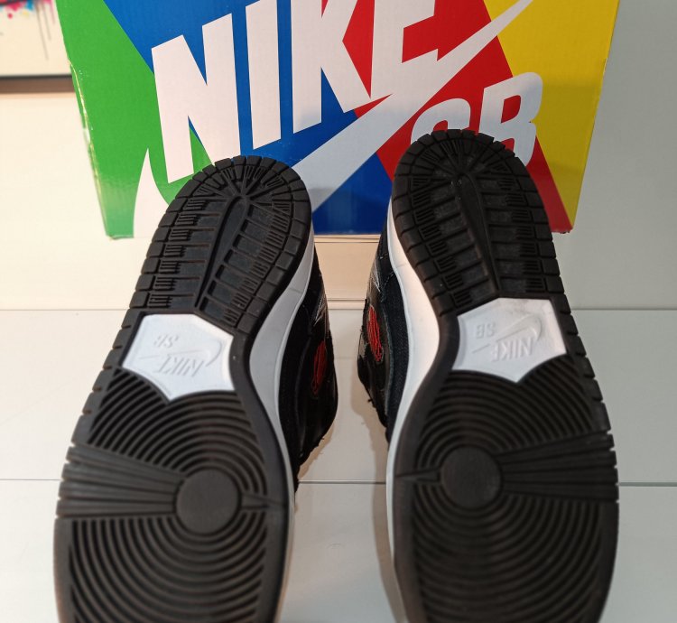 Nike Sb Dunk Low Wasted Youth