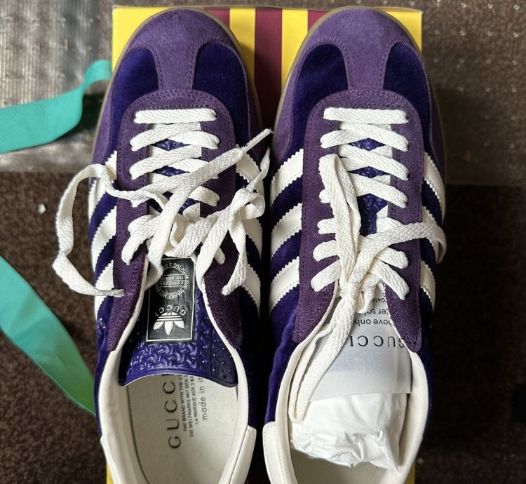 Adidas Gucci Gazelle