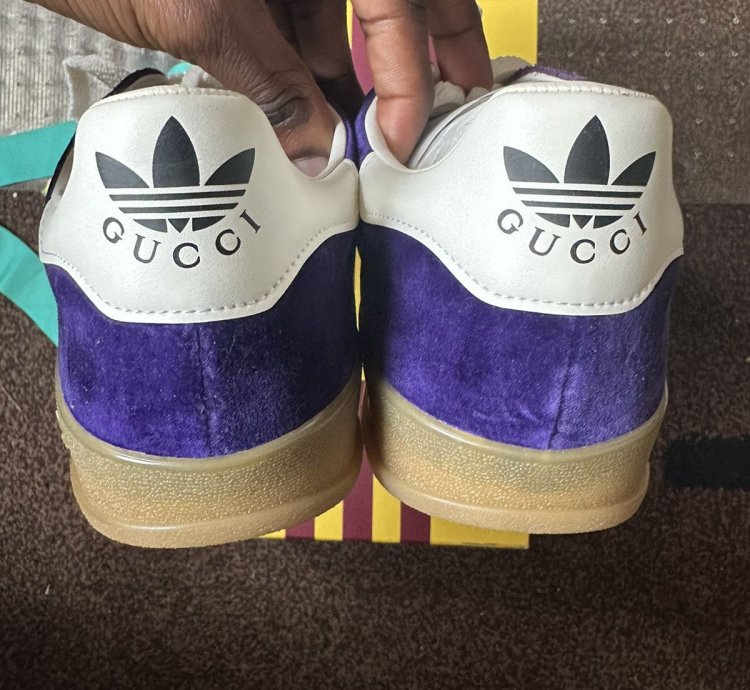 Adidas Gucci Gazelle