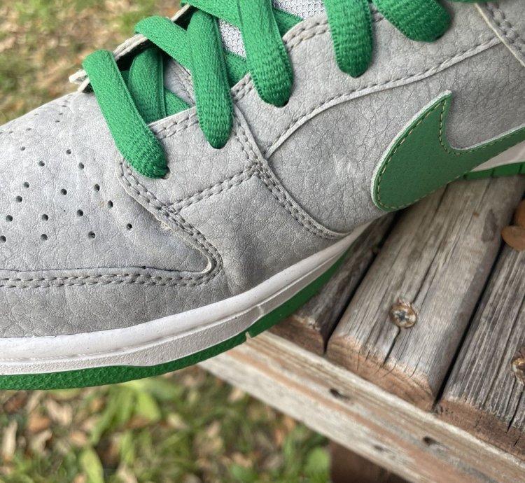 Nike Dunk Sb Premium Low Medusa