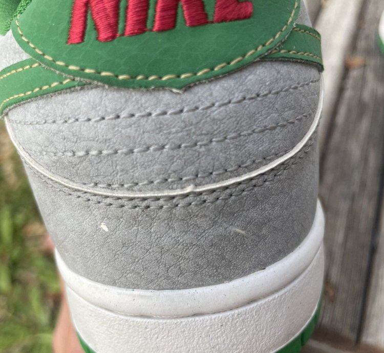 Nike Dunk Sb Premium Low Medusa