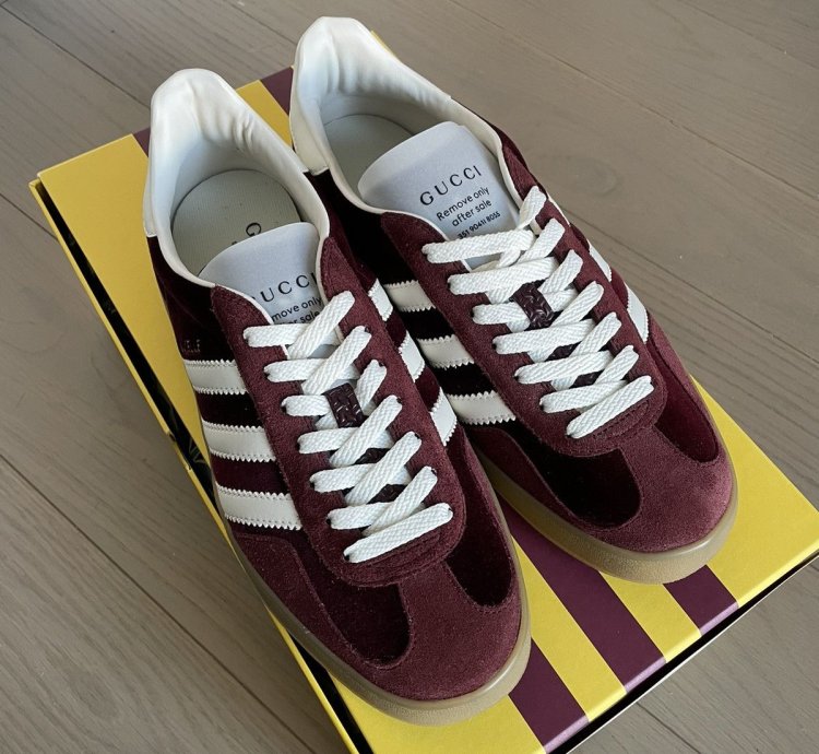 Adidas Gucci Velvet Gazelle