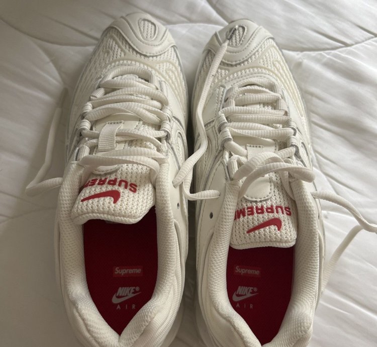 Supreme Nike Air Max 98