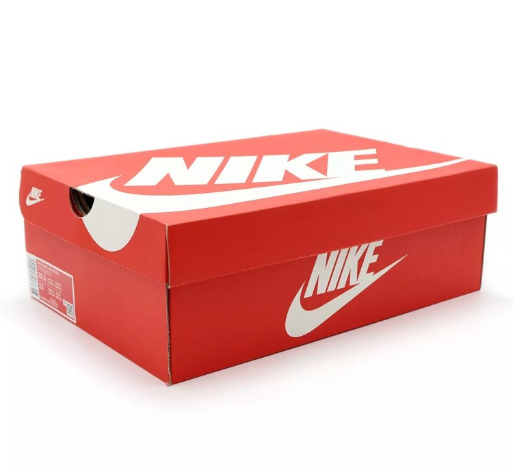 Dd1391-700 Nike Dunk Low Michigan Varsity Maze Midnight Navy White