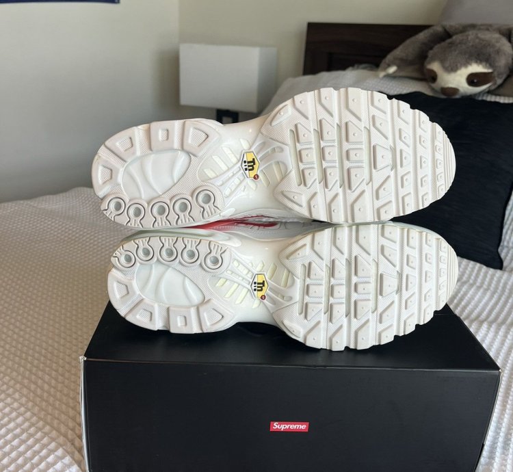 Supreme Nike Air Max Plus Sz 10 5