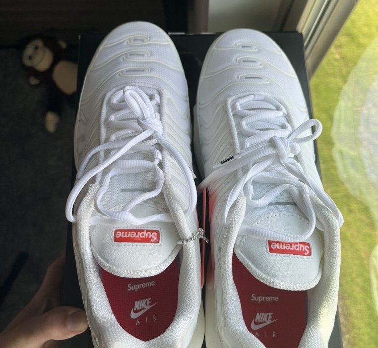 Supreme Nike Air Max Plus Sz 10 5